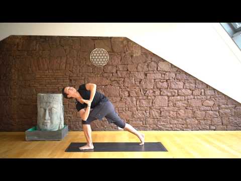 15 gedrehter seitlicher  Winkel Der Yoga Coach by Stephan Suh