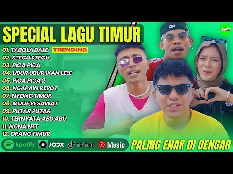 ALBUM SPECIAL TABOLE BALE - STECU STECU || PICA PICA || LAGU POP TIMUR VIRAL TIKTOK 2025 #ontrending