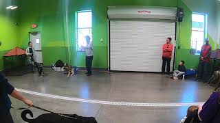 Petsuites Fern Creek Dog Training Workshop