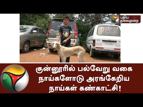 Enormous varieties of dogs witnessed at Dog exhibition held in Coonoor #Dogs