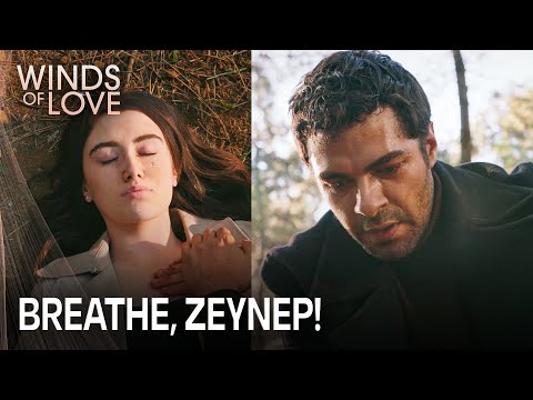 Halil, Zeynep'i buldu | Rüzgarlı Tepe 179. Bölüm