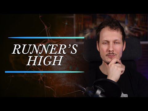 How Running Can Release Endocannabinoids