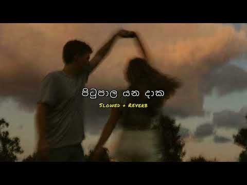 Pitupala Yana Daka | පිටුපාල යන දාක | Slowed + Reverb | PASIYA vibes