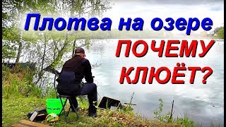 Рыбалка на сенеже весной