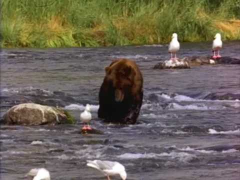 Pez Vs Jigsaw Rap Battle Advert