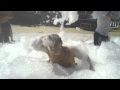 bain de mousse 