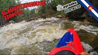 Slaughterhouse "Quicky" 2200cfs