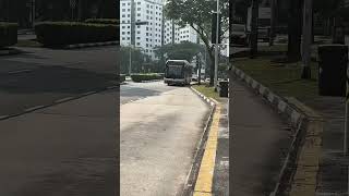 SMB307B on 859 #smrt #sbstransit #goaheadlines