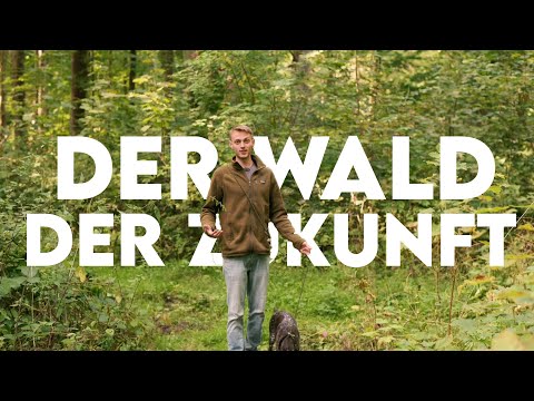 Wie sieht der Wald der Zukunft aus? - Forst erklärt