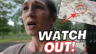 DANGEROUS ENCOUNTER with Wildlife | Hiking with My Family..