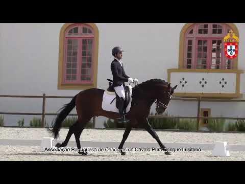 220424 1 Nadir - Aprovação de Garanhões