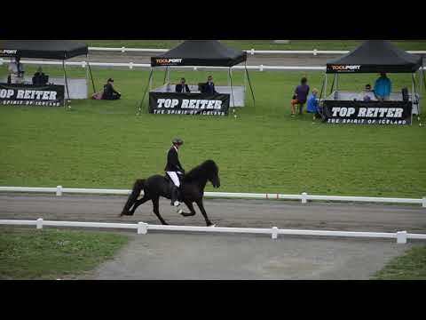 Frauke Schenzel WM19