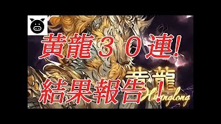 【グラブル】黄龍30連参加してきました報告！