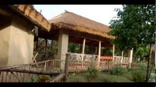 preview picture of video 'India West Bengal Bali Hat Khola Sunderbans Jungle Camp India Hotels Travel Ecotourism'