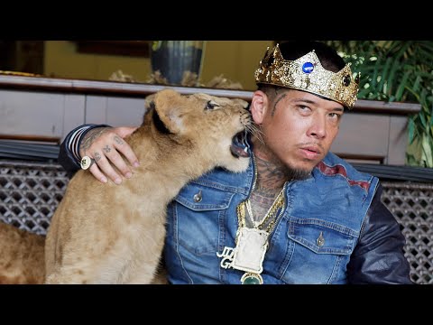 JIN GATES- “MONEY COUNTER” FEAT TRU LIFE