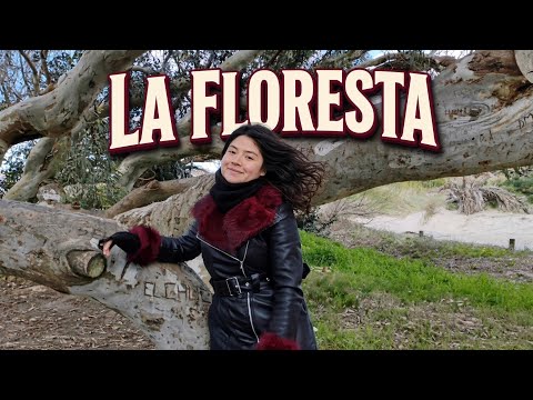 La Floresta, Uruguay en invierno: no hace falta irse tan lejos