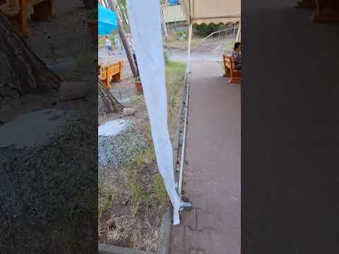 █▬█ █ ▀█▀ Dziki Żądzą - ELZAM Krynica Morska-Bawmy Się-najlepsze Imprezki-(Official Music Video)