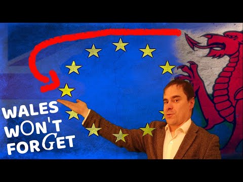 Is a no deal Brexit good for the Welsh Language?