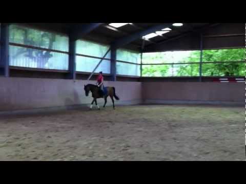 Hesselteichs Avignon 15. Mai 2012