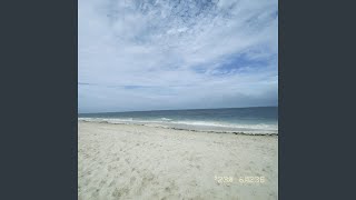 Cover art for flyingfish - other side of the ocean