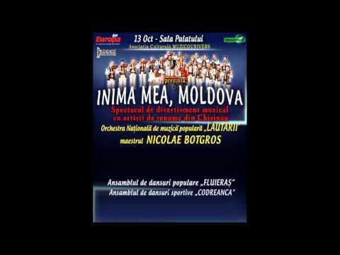 Promoter VREAUBILET - Inima mea,Moldova