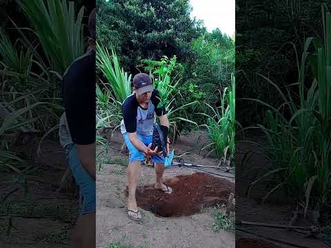 de capelinha minas gerais 🙏