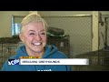 Northeast Ohio woman to rescue more greyhounds after Florida bans racing