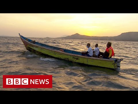 漁民將汽油發動機換成了電動發動機 - BBC News (Fisherman swap petrol motors for electric engines - BBC News)