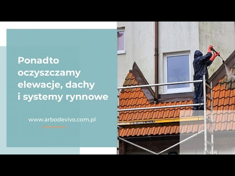 Malowanie dachów i domów Arbo De Vivo - video