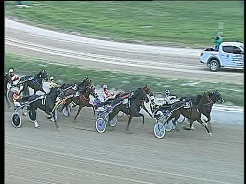 Trotto 03/11/2017 - 2ª corsa