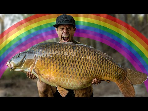 The World's Most INTENSE CARP FISHING!? | Rainbow Lake Return | Lee Mozza Morris (1hr 45mins)