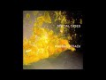 Massive Attack - Special Cases (Luomo's Casing)