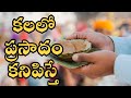 Kalalo Prasadam Kanipisthe Kalalu Vati Phalithalu Dreams In Telugu Laxmi Devotional