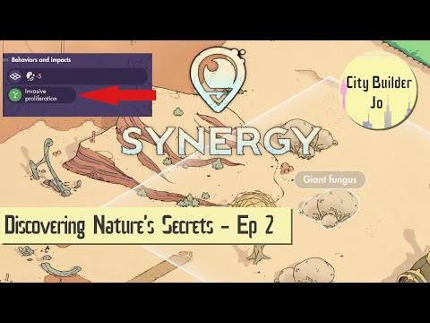 Discovering Nature's Secrets in Synergy - Anchoring Part 2