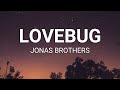 Jonas Brothers - Lovebug (Lyrics)