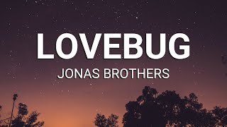 Jonas Brothers - Lovebug (Lyrics)