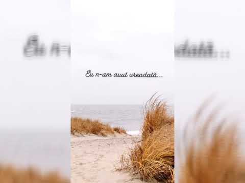 Eu n-am avut vreodată- Iudita, Viviana și Claudia