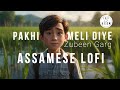 Pakhi Meli Diye Lofi - LOFI AXOM - Zubeen Garg - Assamese new song 2024
