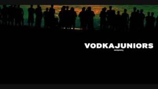 Of all the things I've lost - Vodka Juniors
