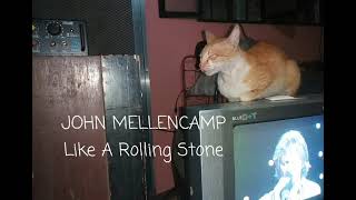 JOHN MELLENCAMP   Like A Rolling Stone