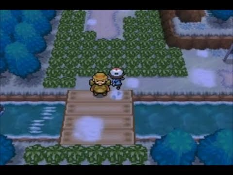 Pokemon Black English Walkthrough 31 - Belle And Route 6!