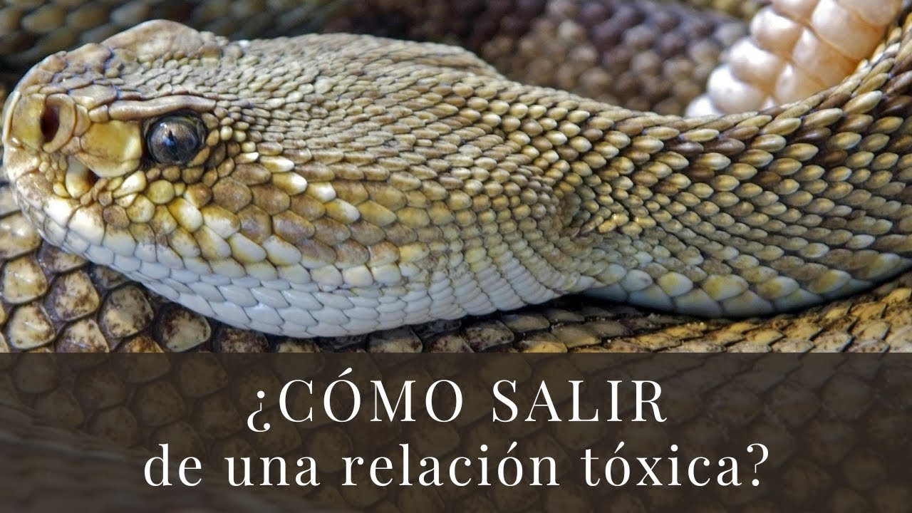 ¿Cómo salir de una relación tóxica?