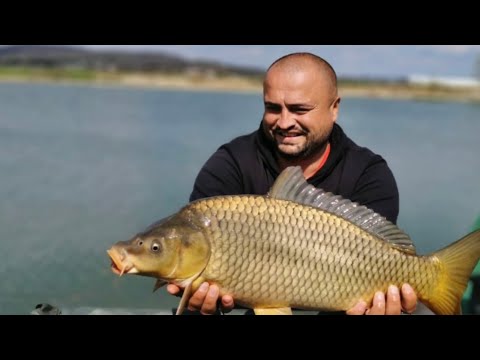 Purcareni Lake  22.04.2021