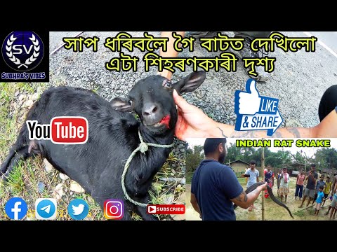 Humanity and kindness don't have any boundaries // मानवता और दया की कोई सीमा नहीं होती