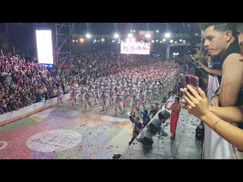 san martin 1/3 año 2024