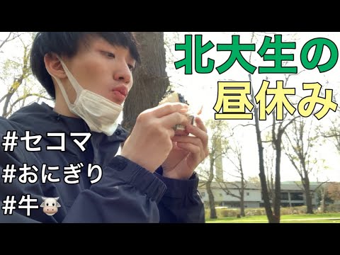 法学課程 【完全対面授業】北大生の昼休みはこんな感じ