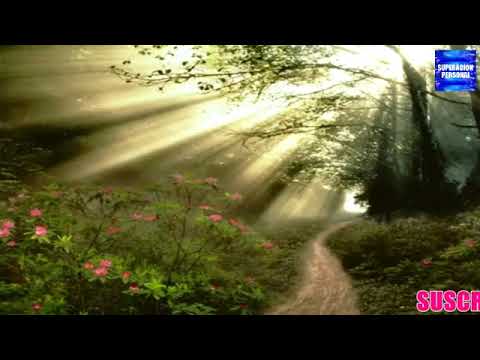 audio libro superacion personal