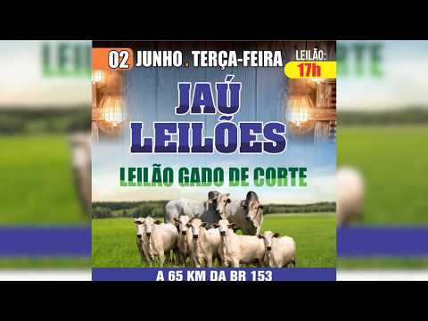 LEILÃO GADO DE CORTE  - JAU LEILÕES  - JAU DO TOCANTINS  -02 / 06 / 2026