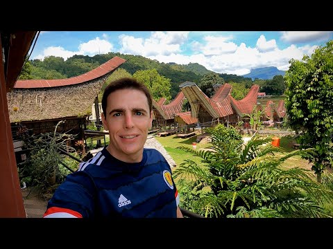 $60 Village Homestay in Toraja, Indonesia 🇮🇩