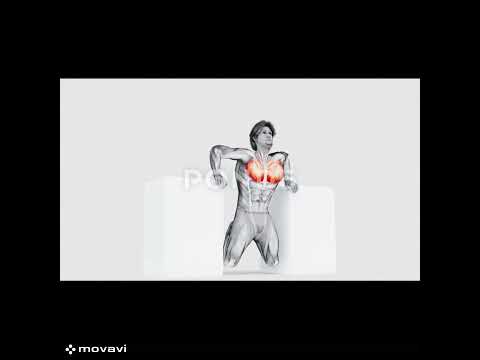 chest exercises